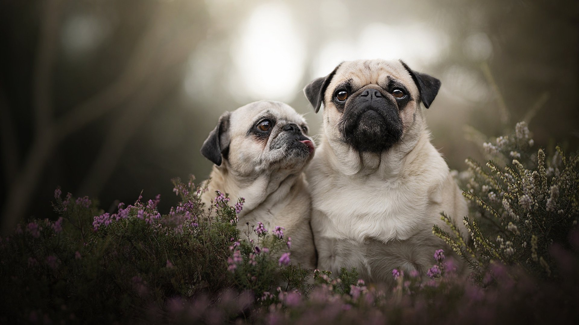 爱游戏ayx-中超新赛季阵容调整趋势，中超新赛季各队名单