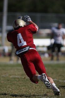 爱游戏app推荐-五大联赛争四阶段关键球员贡献值差异对比，五大联赛引援