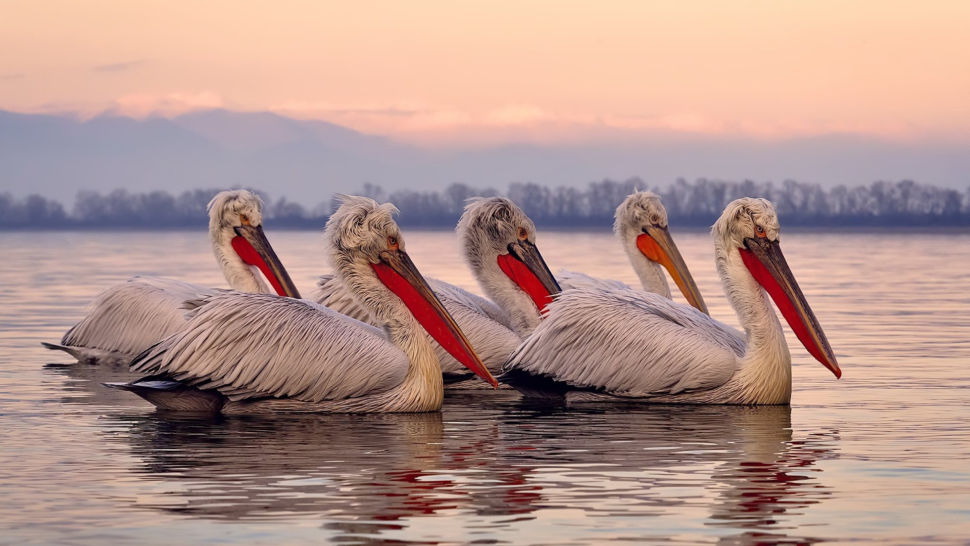 爱游戏体育娱乐-体育新闻中心构建体育教育类自媒体资源协同网络，全体育媒体