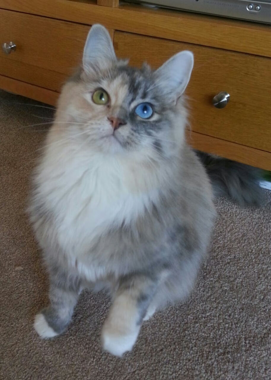 爱游戏-体育精神主题演讲比赛传播正能量，体育精神主题演讲比赛传播正能量文案