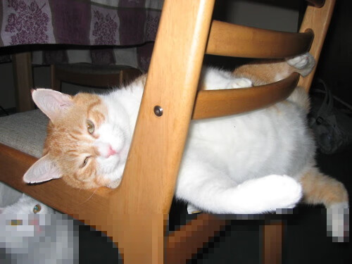 爱游戏app-利物浦中场组织能力助力快速推进，利物浦中场大将