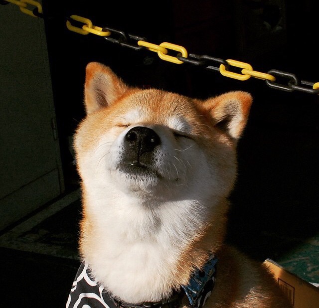 蝶泳划水效率数据解读,蝶泳的划水动作轨迹是三维的