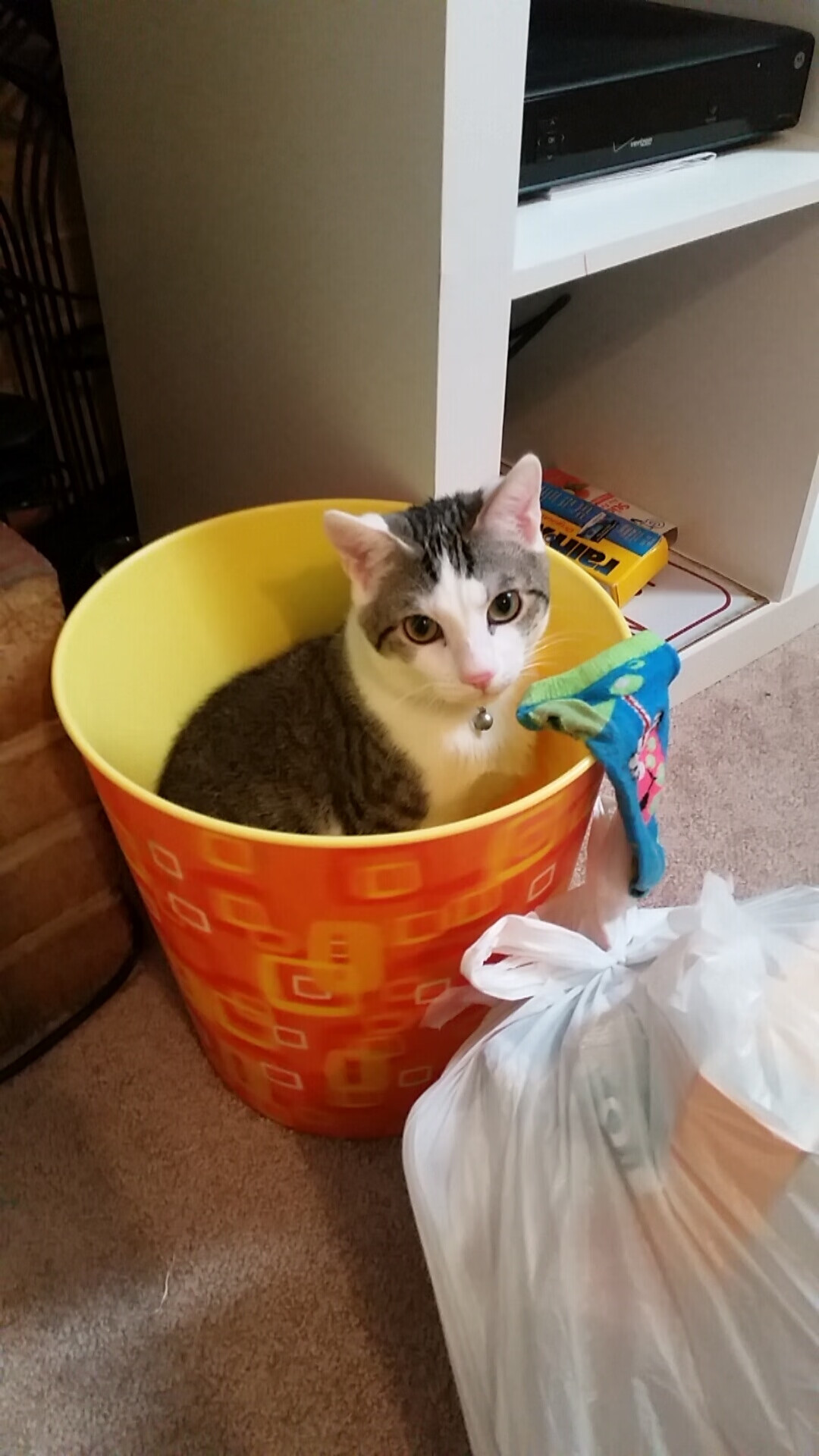 爱游戏app活动-黑马本色？中立B选手晋级表现抢眼，中立boss