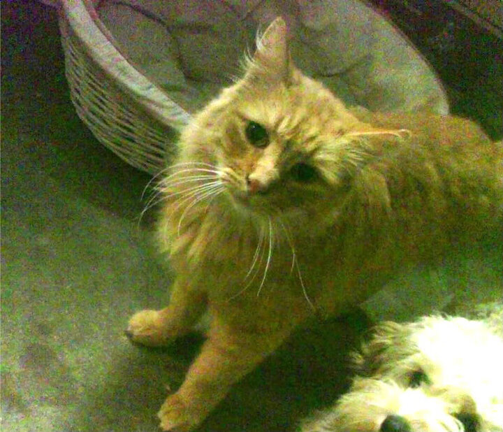 爱游戏入口-教练组尝试跨界合作引入心理学专家提升球员心理素质