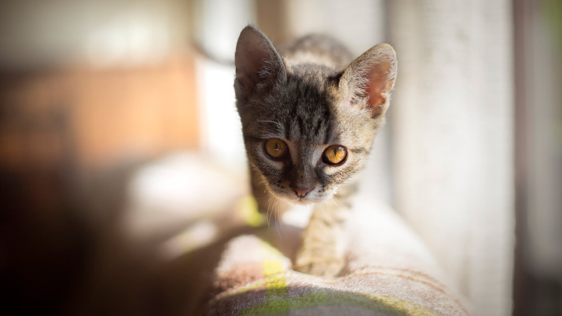 皇马青训再出新星，阵容未来可期