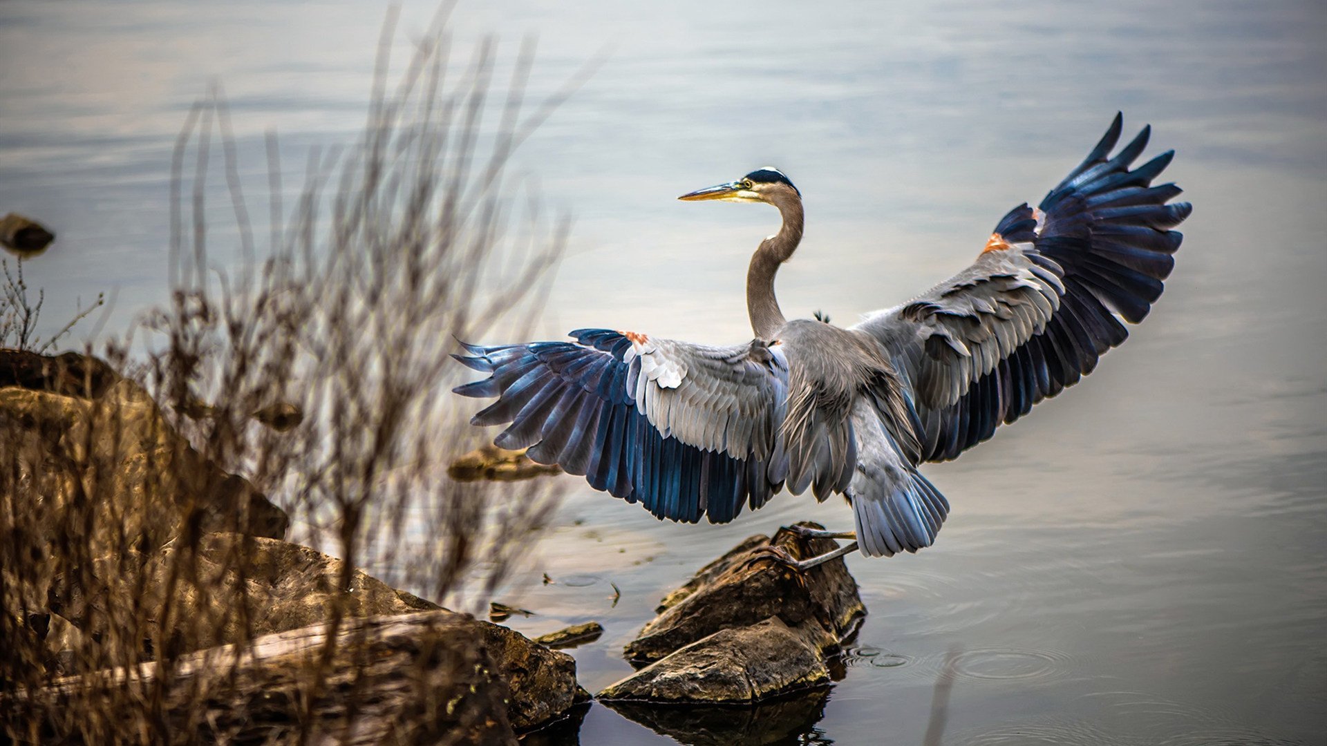 英超逆转王者：最后一分钟的传奇神话，英超逆袭夺冠