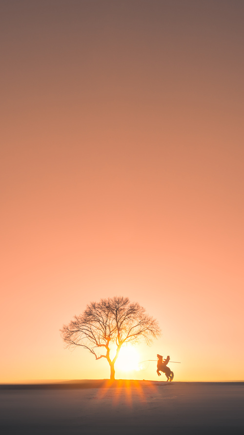 爱游戏ayx-莫莉决赛后段发力压制群雄，莫莉个人资料简介