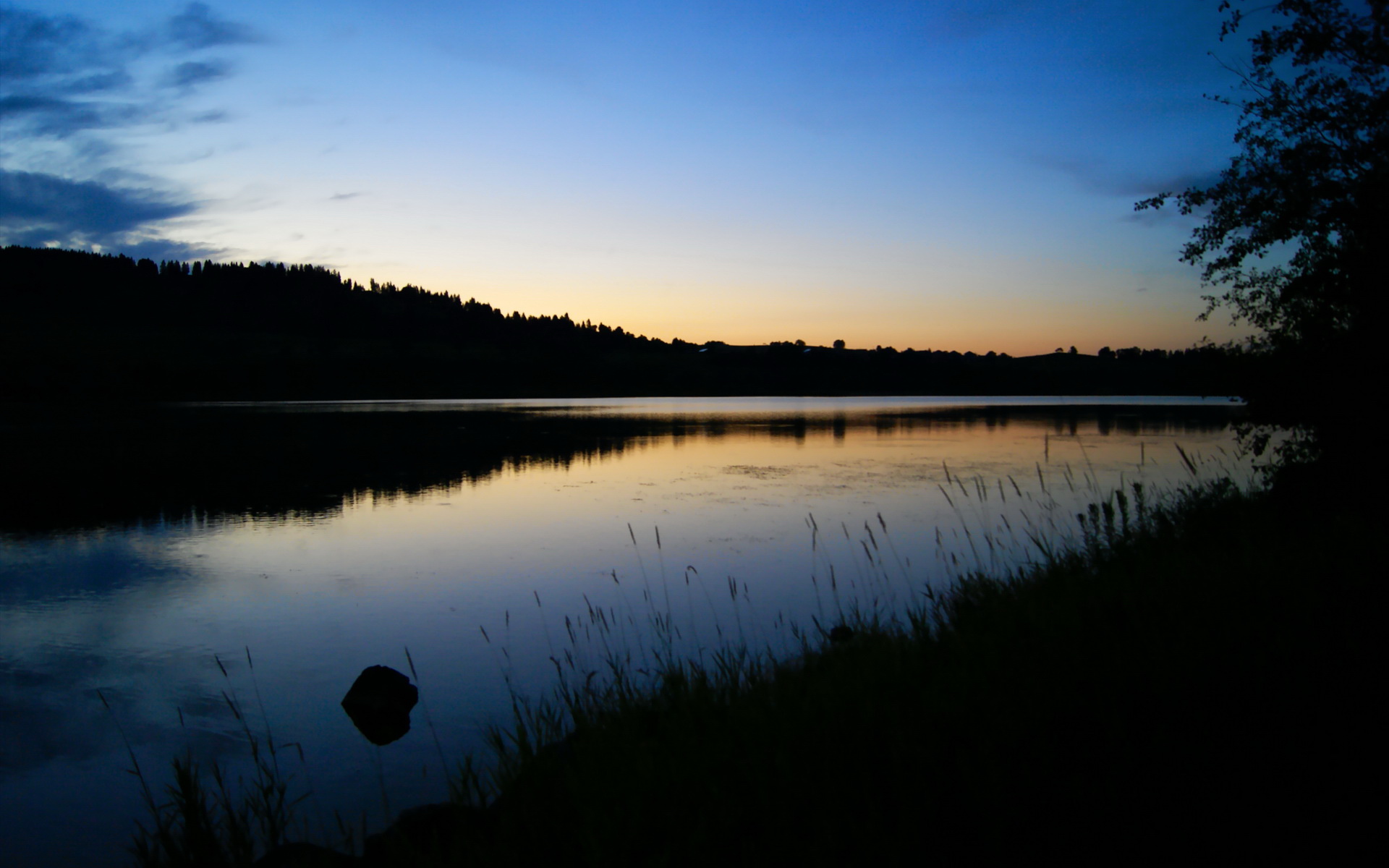爱游戏app注册-跳水动作流畅波兰赢得掌声，波兰女子跳高