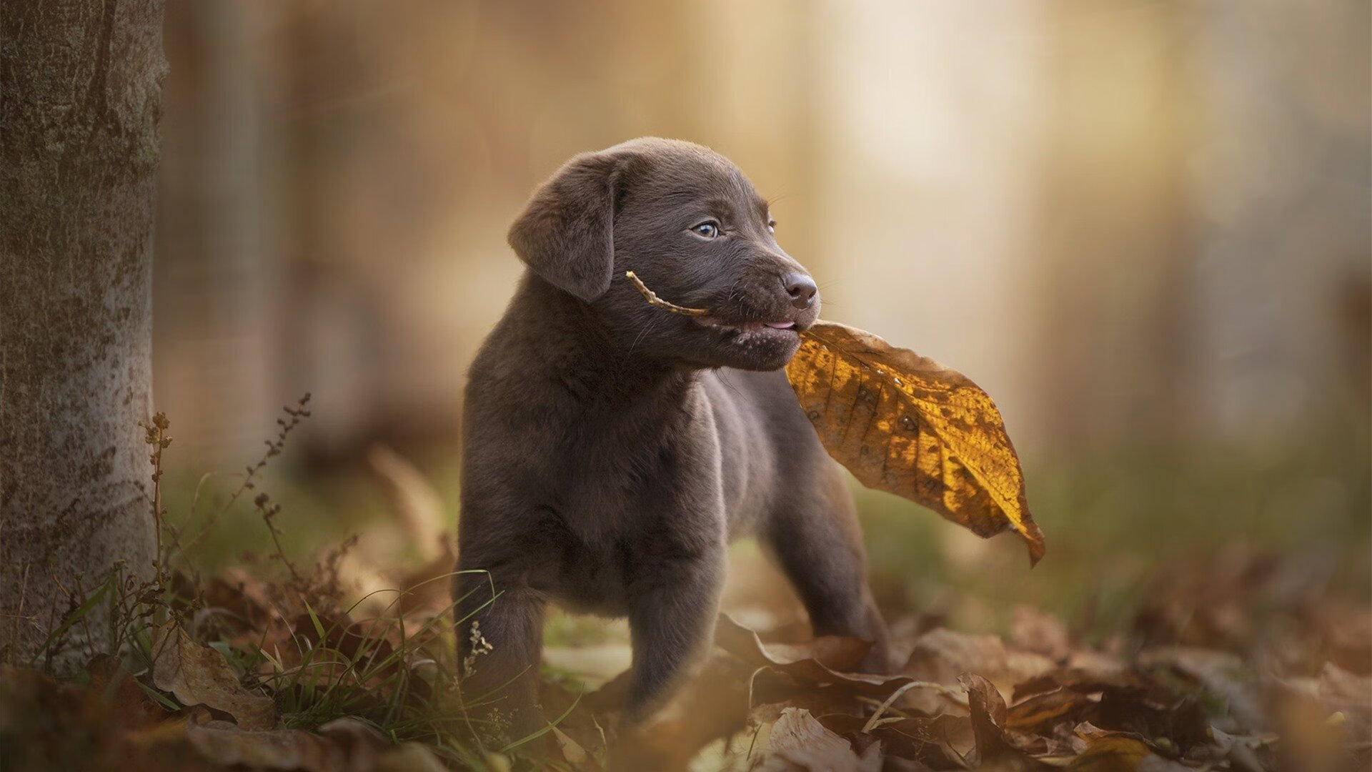 青少年培训体系改革，未来人才储备被看好，青少年的培训